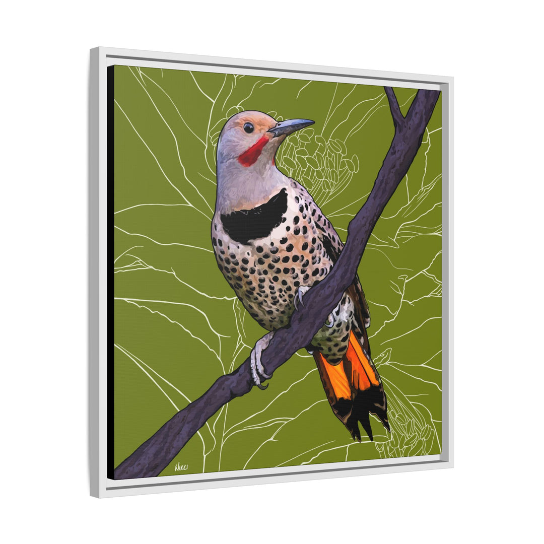 Northern Flicker (Yellowhammer): Alabama State Bird: — Framed Canvas Print Wall Art