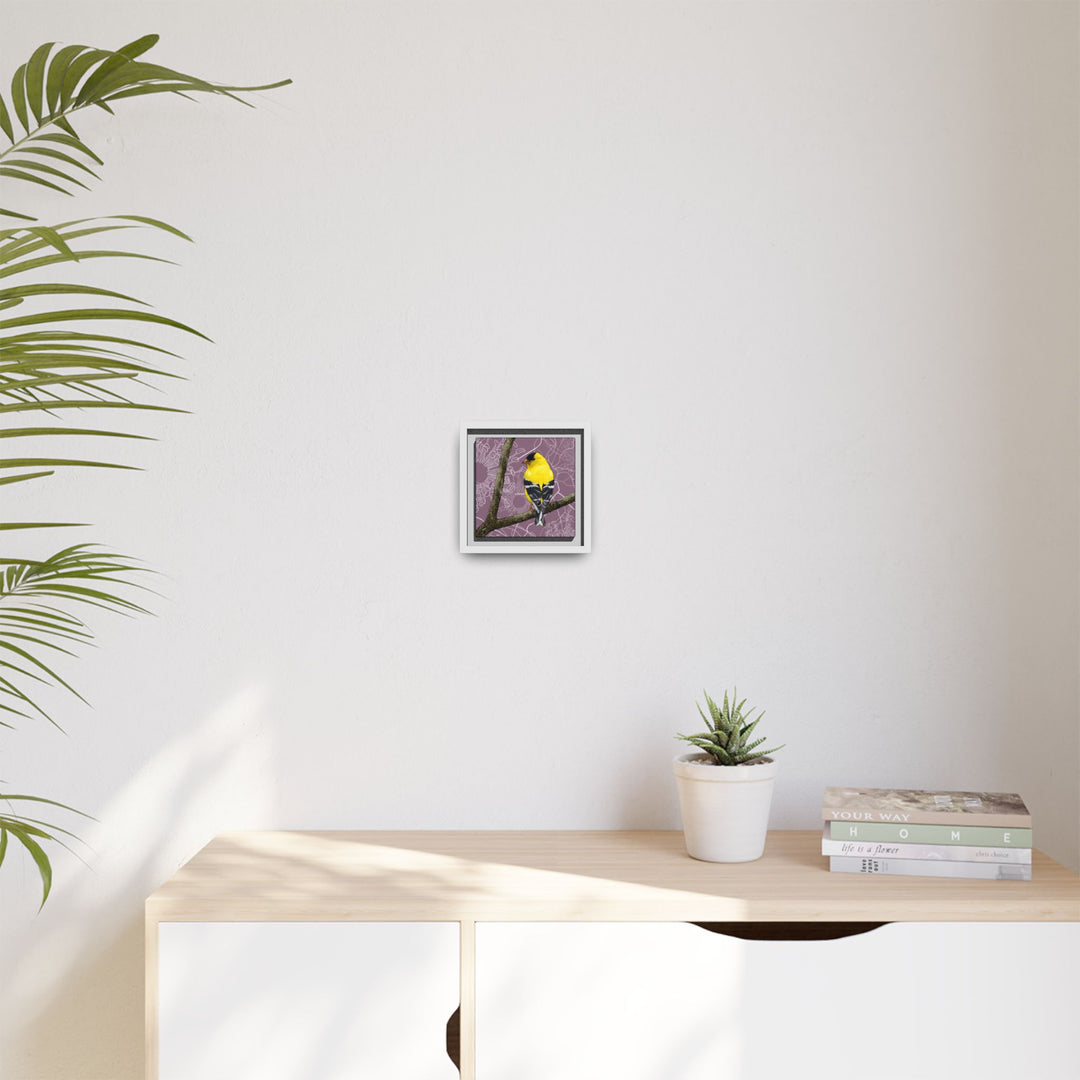 Goldfinch: Washington State Bird — Framed Canvas Print Wall Art