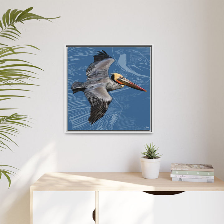 Brown Pelican: Louisiana State Bird  —  Framed Canvas Print