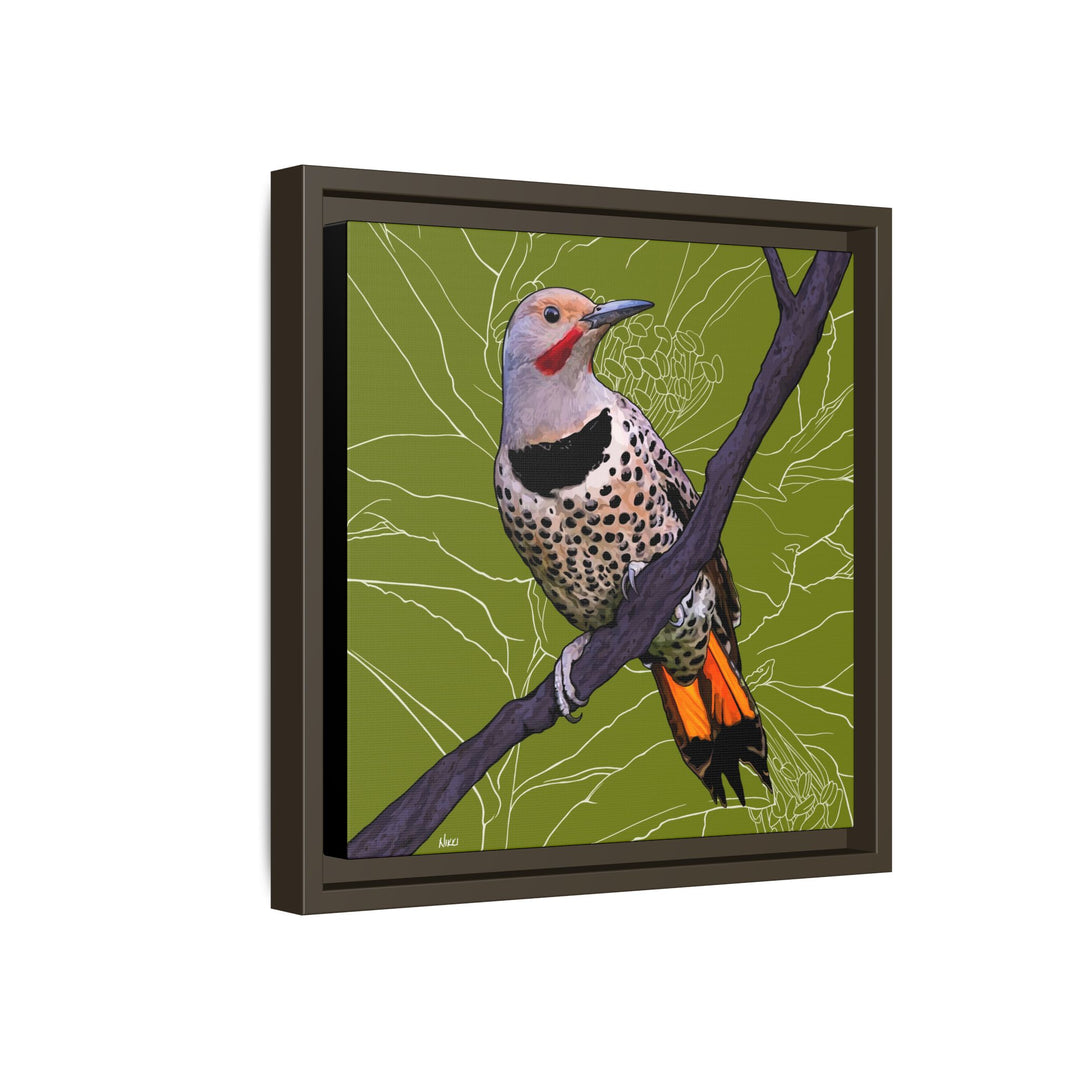 Northern Flicker (Yellowhammer): Alabama State Bird: — Framed Canvas Print Wall Art