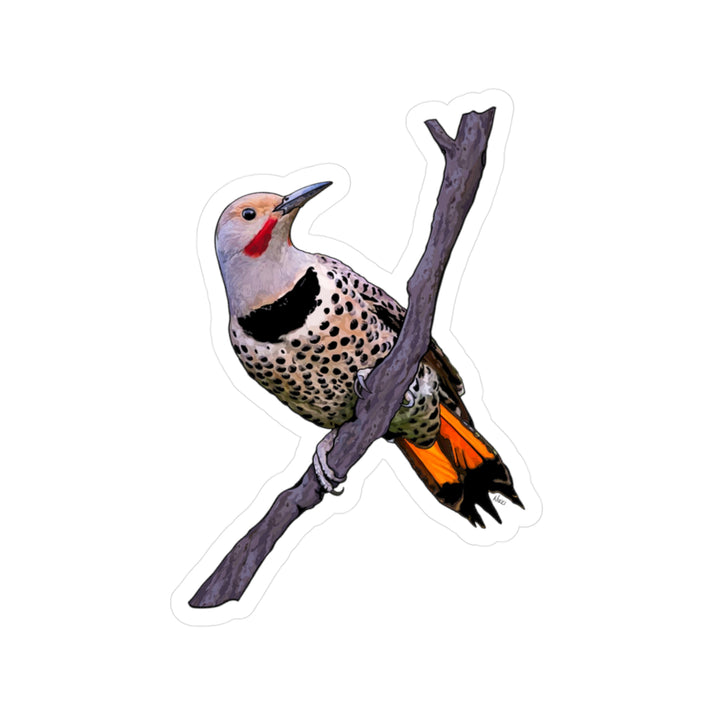 Northern Flicker Bird Kiss-Cut Vinyl Sticker — Realistic Bird on Branch Decal