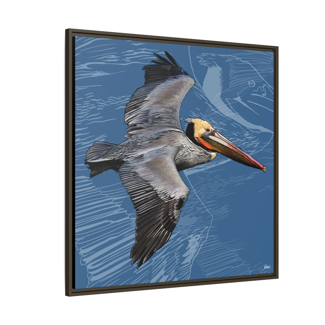Brown Pelican: Louisiana State Bird  —  Framed Canvas Print