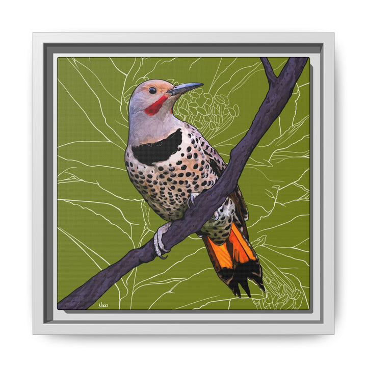 Northern Flicker (Yellowhammer): Alabama State Bird: — Framed Canvas Print Wall Art