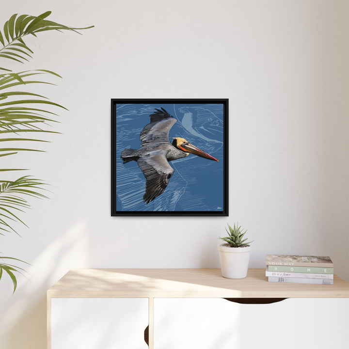 Brown Pelican: Louisiana State Bird  —  Framed Canvas Print