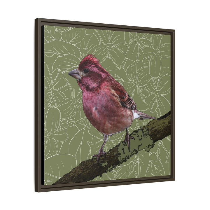 Purple Finch: New Hampshire State Bird — Framed Canvas Print Wall Art