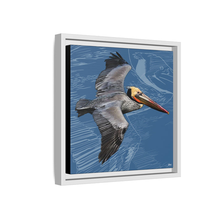 Brown Pelican: Louisiana State Bird  —  Framed Canvas Print