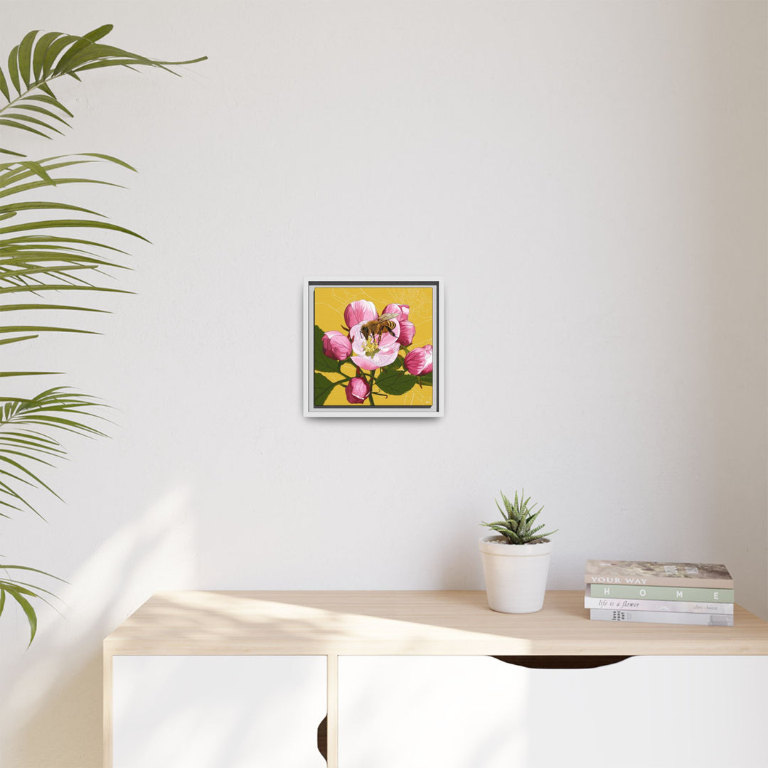 Apple Blossom & Honeybee Framed Canvas — Arkansas State Flower Wall Art
