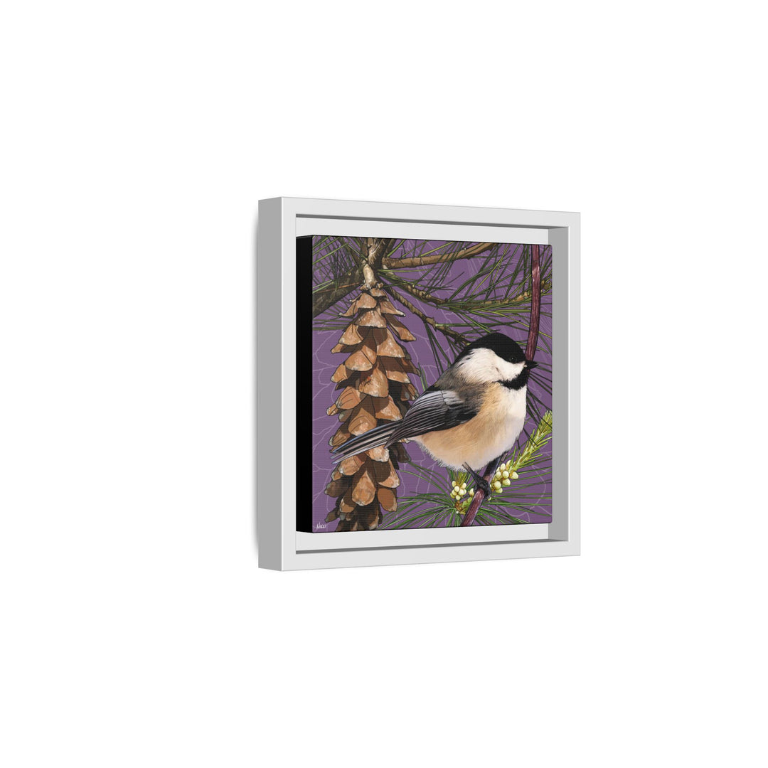 Black-capped Chickadee: Maine State Bird — Framed Canvas Print
