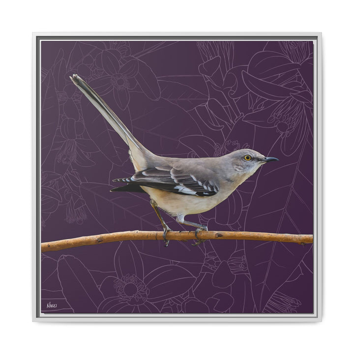 Northern Mockingbird: Florida State Bird — Framed Canvas Print Wall Art