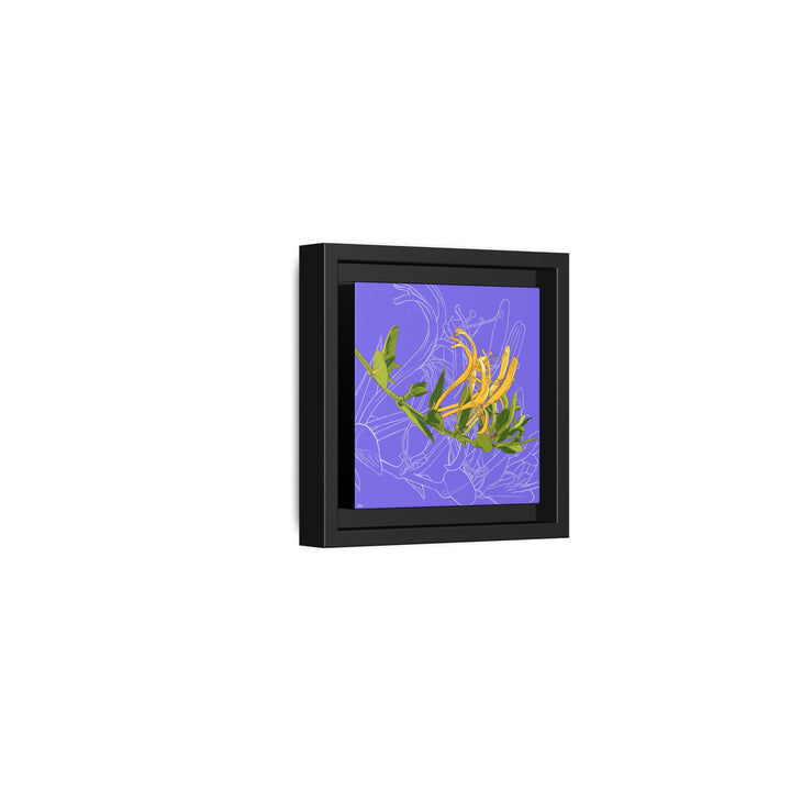 Honeysuckle: June Birth Month Flower — Framed Canvas Print Wall Art