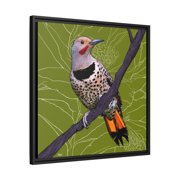 Northern Flicker (Yellowhammer): Alabama State Bird: — Framed Canvas Print Wall Art