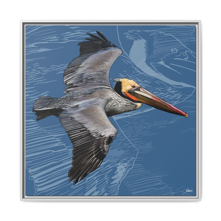 Brown Pelican: Louisiana State Bird  —  Framed Canvas Print