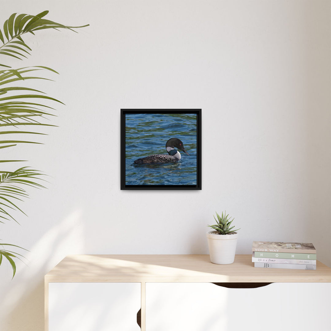Common Loon: Minnesota State Bird — Framed Canvas Print Wall Art