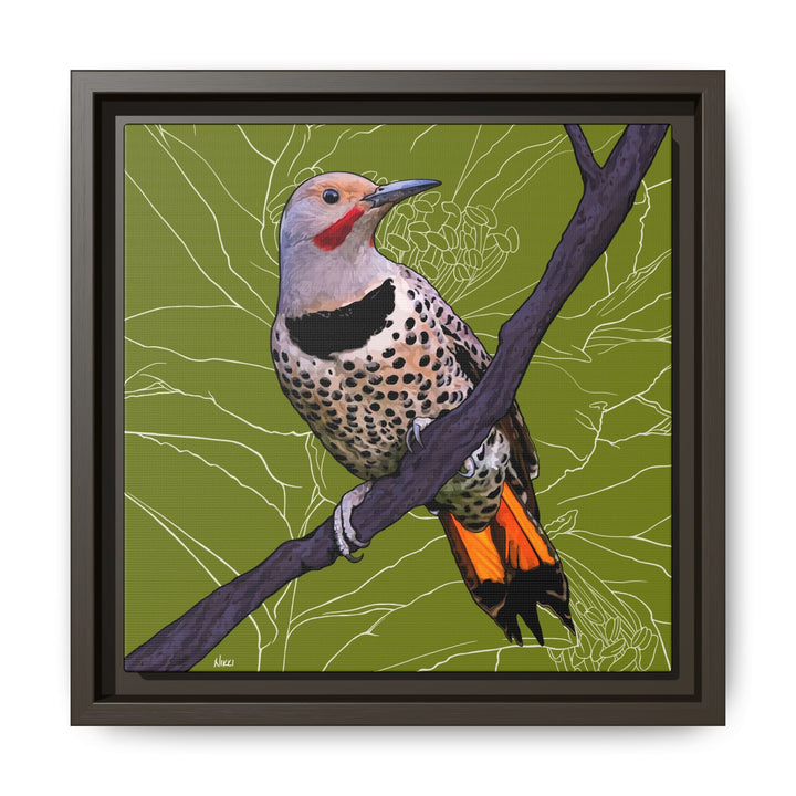Northern Flicker (Yellowhammer): Alabama State Bird: — Framed Canvas Print Wall Art