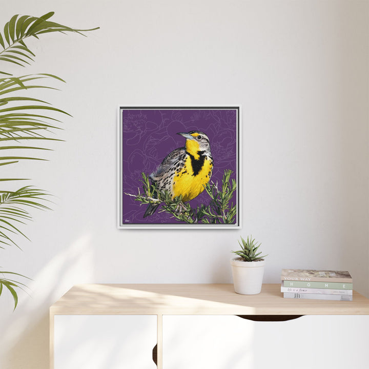 Western Meadowlark: North Dakota State Bird — Framed Canvas Print