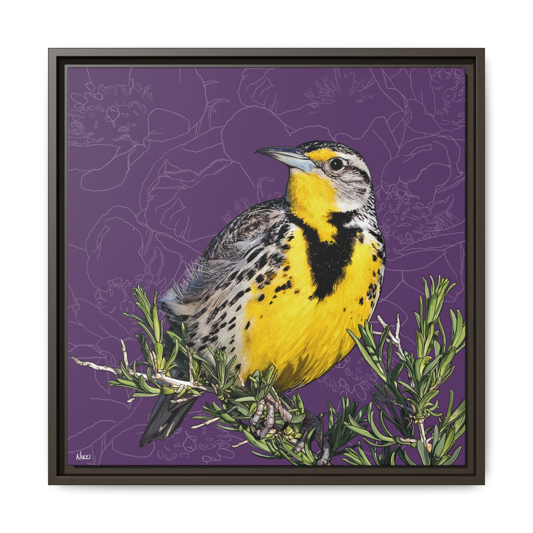 Western Meadowlark: North Dakota State Bird — Framed Canvas Print