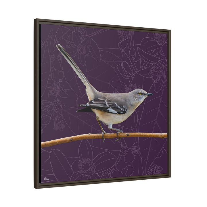 Northern Mockingbird: Florida State Bird — Framed Canvas Print Wall Art