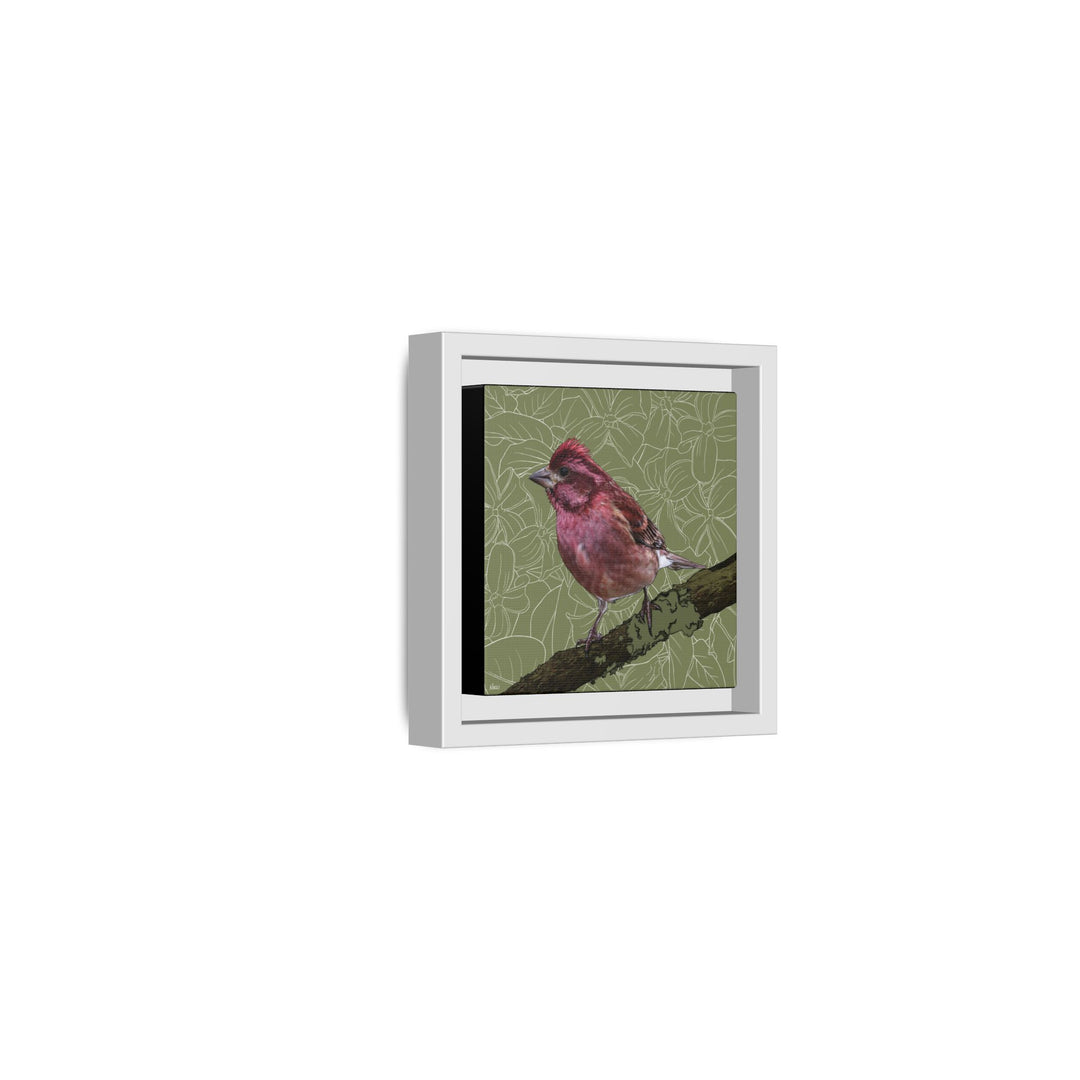 Purple Finch: New Hampshire State Bird — Framed Canvas Print Wall Art