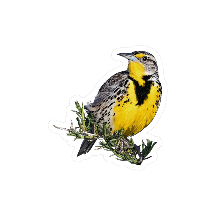 Eastern Meadowlark Bird Sticker – Kiss-Cut Vinyl Decal (Yellow Songbird on Branch)