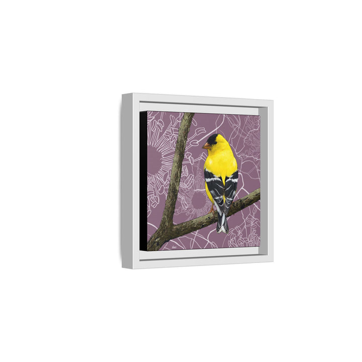 Goldfinch: Washington State Bird — Framed Canvas Print Wall Art