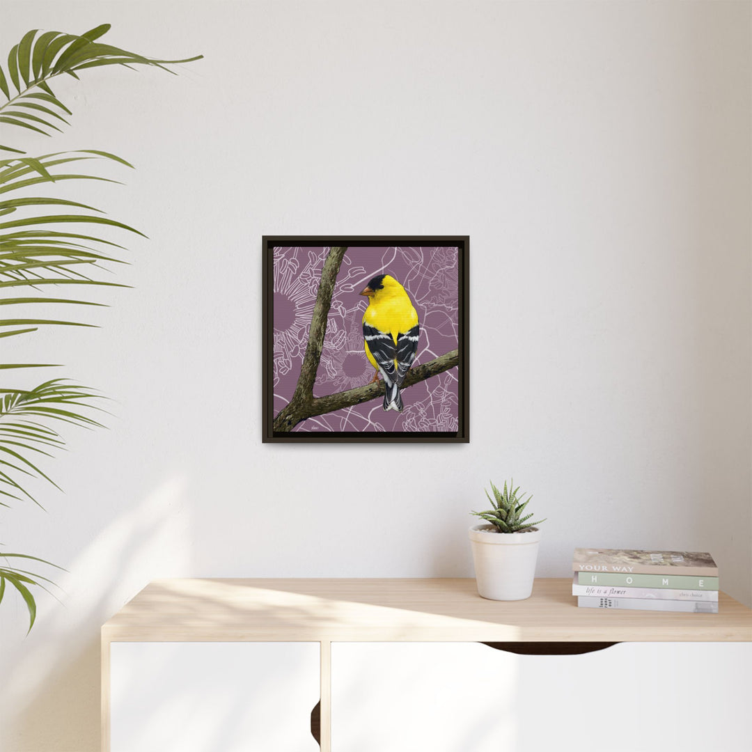 Goldfinch: Washington State Bird — Framed Canvas Print Wall Art