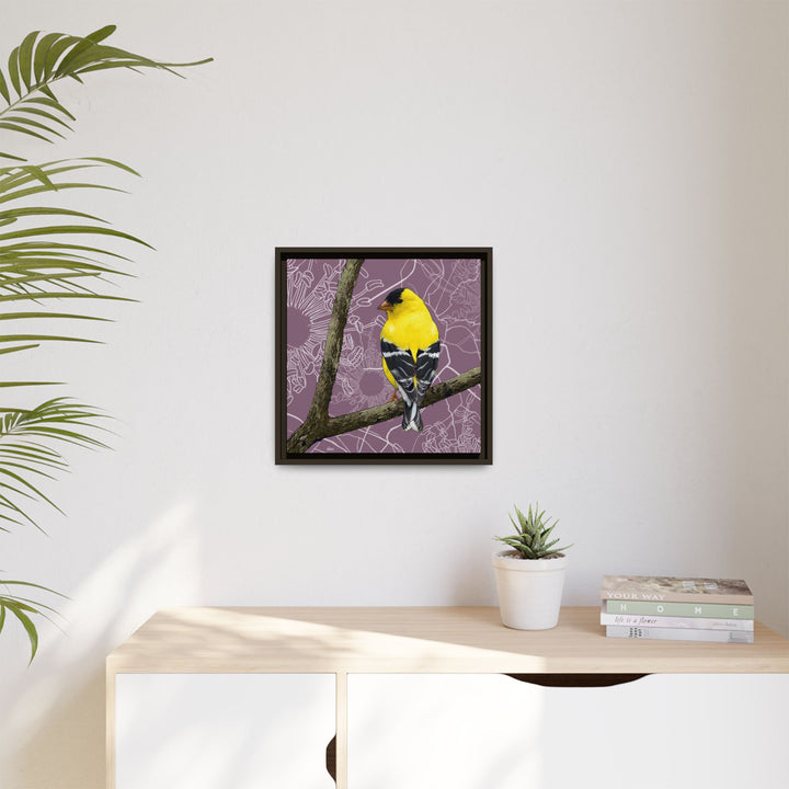 Goldfinch: Washington State Bird — Framed Canvas Print Wall Art
