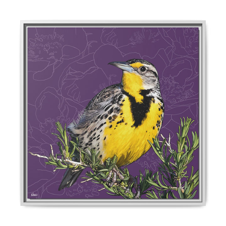 Western Meadowlark: North Dakota State Bird — Framed Canvas Print