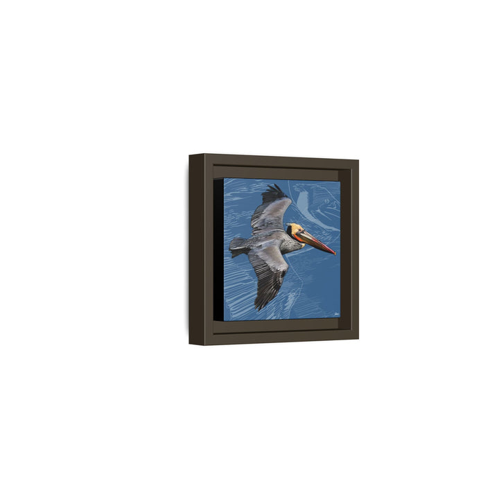 Brown Pelican: Louisiana State Bird  —  Framed Canvas Print