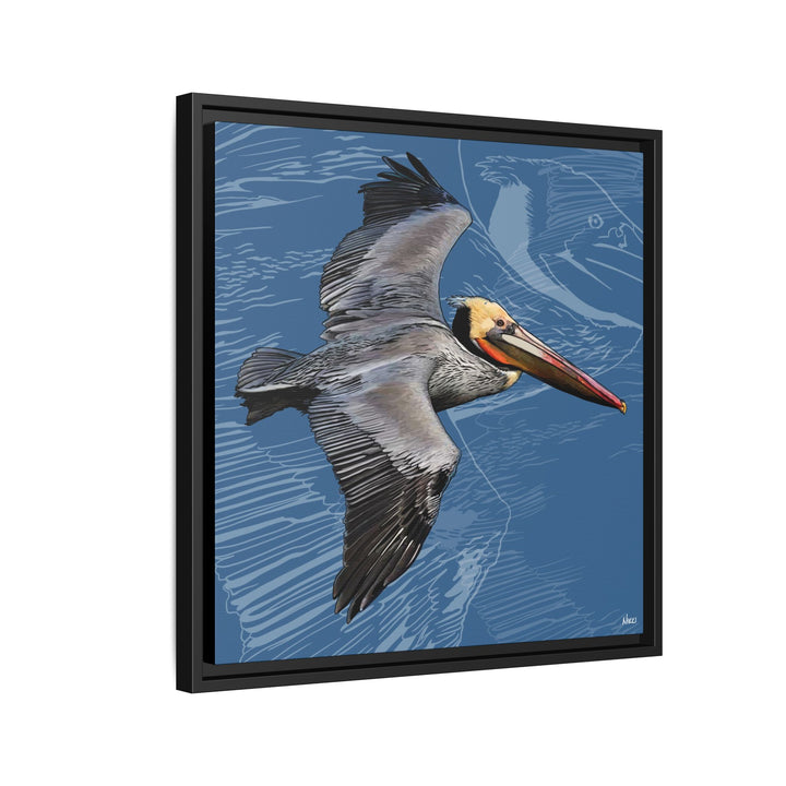 Brown Pelican: Louisiana State Bird  —  Framed Canvas Print