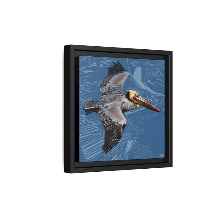 Brown Pelican: Louisiana State Bird  —  Framed Canvas Print