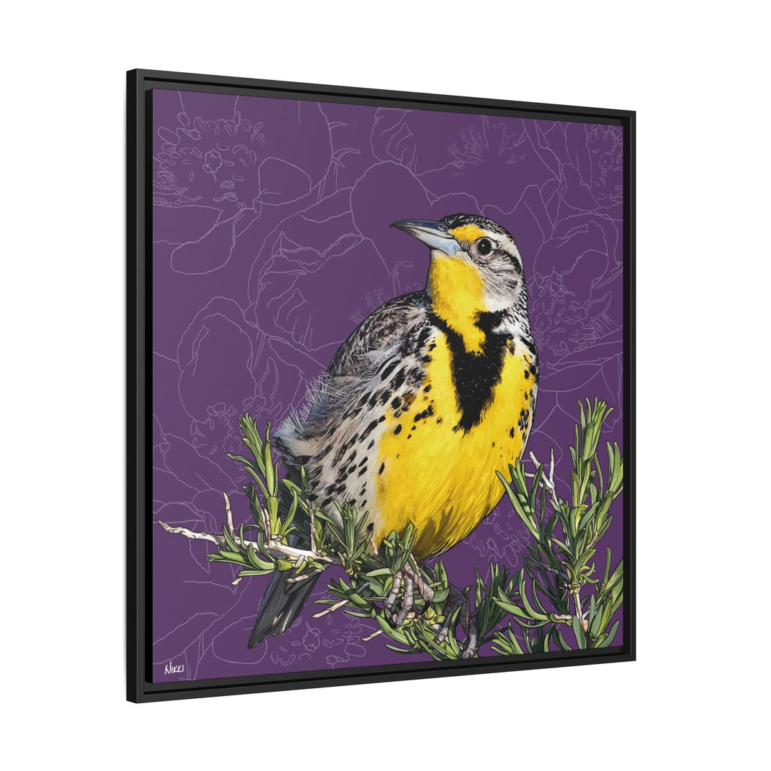 Western Meadowlark: North Dakota State Bird — Framed Canvas Print