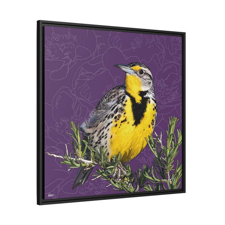 Western Meadowlark: North Dakota State Bird — Framed Canvas Print