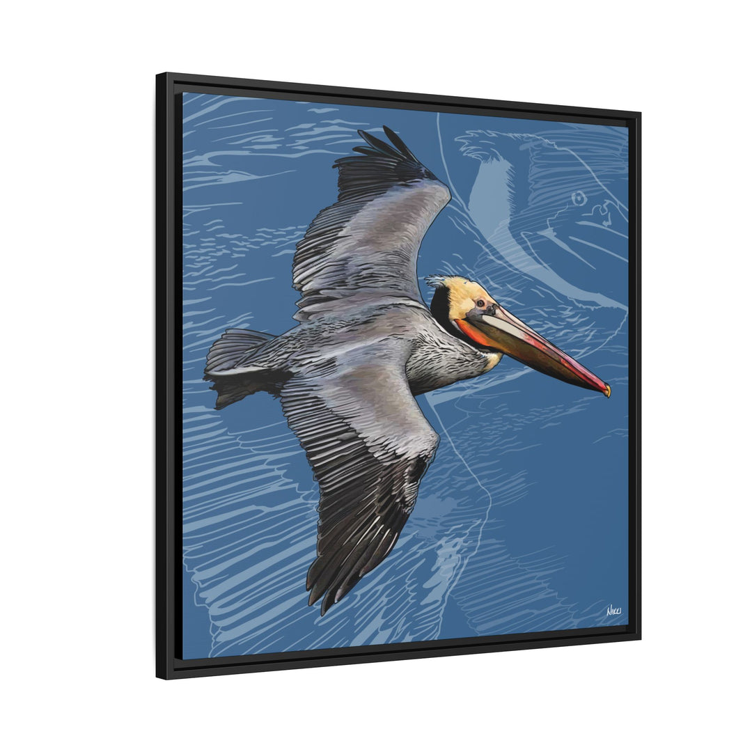 Brown Pelican: Louisiana State Bird  —  Framed Canvas Print