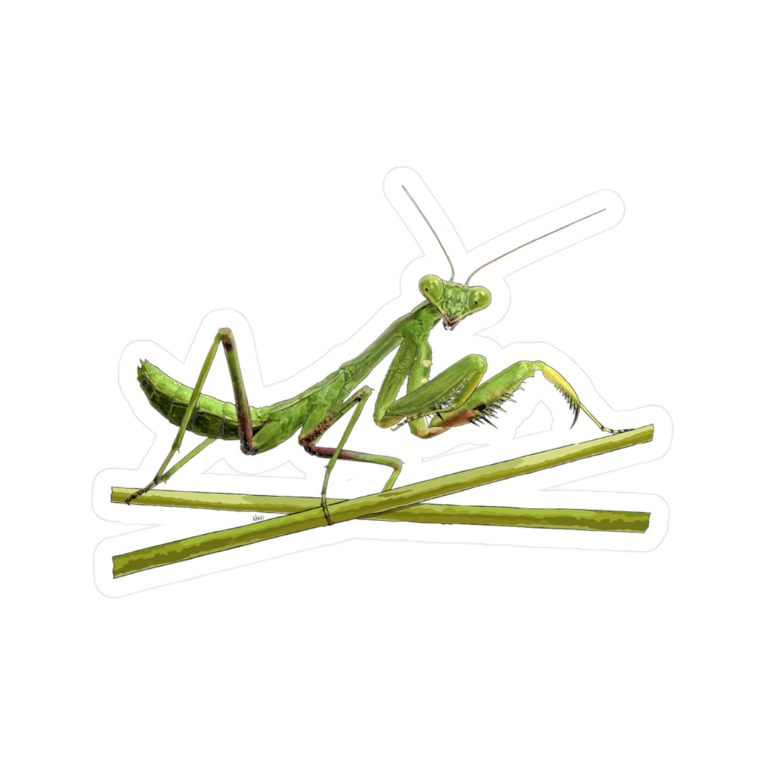 Praying Mantis Kiss-Cut Vinyl Sticker — Green Insect Decal for Laptops, Water Bottles & Windows