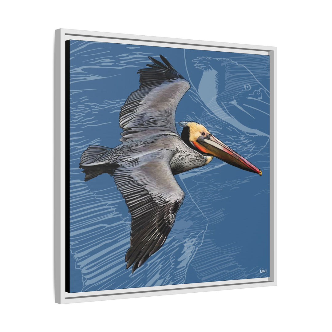 Brown Pelican: Louisiana State Bird  —  Framed Canvas Print