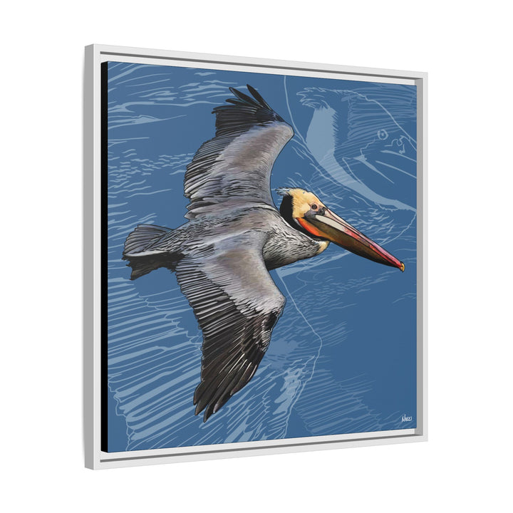 Brown Pelican: Louisiana State Bird  —  Framed Canvas Print
