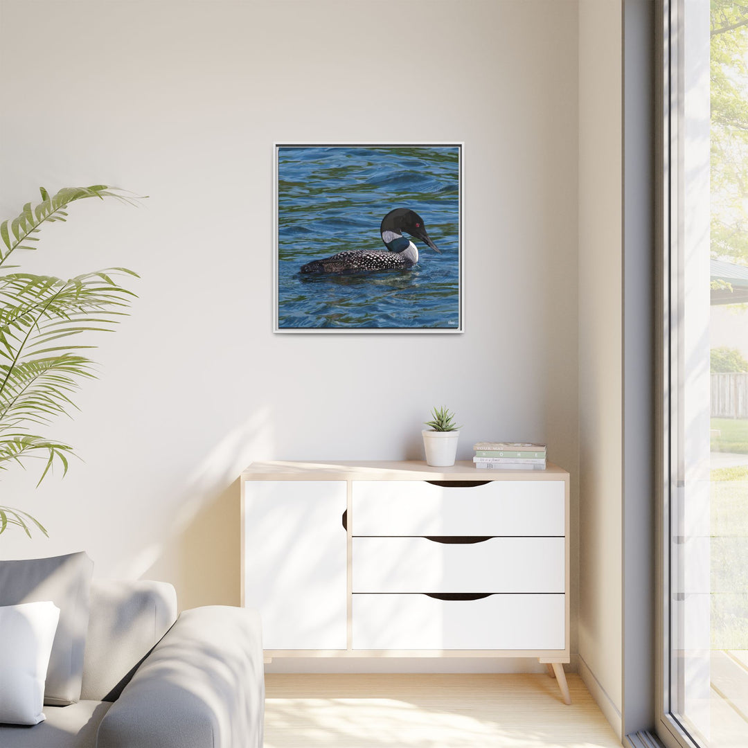 Common Loon: Minnesota State Bird — Framed Canvas Print Wall Art