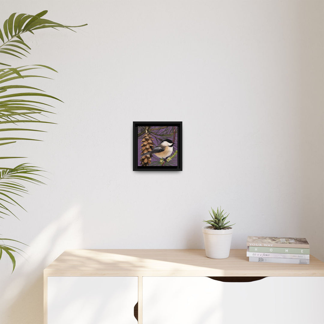 Black-capped Chickadee: Maine State Bird — Framed Canvas Print