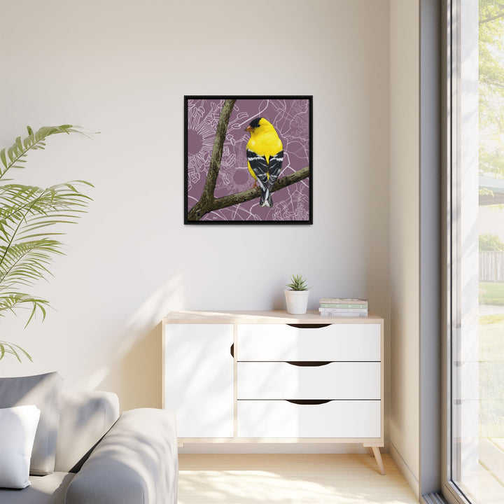 Goldfinch: Washington State Bird — Framed Canvas Print Wall Art