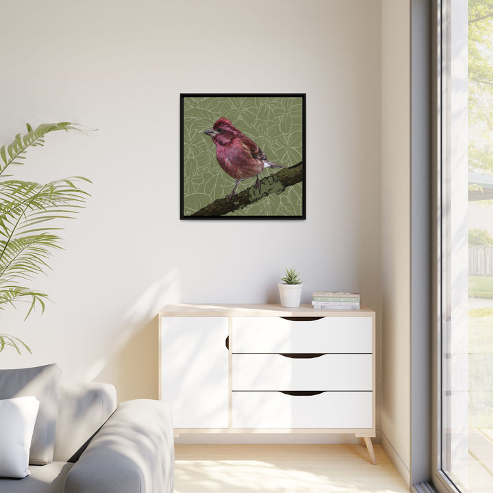 Purple Finch: New Hampshire State Bird — Framed Canvas Print Wall Art