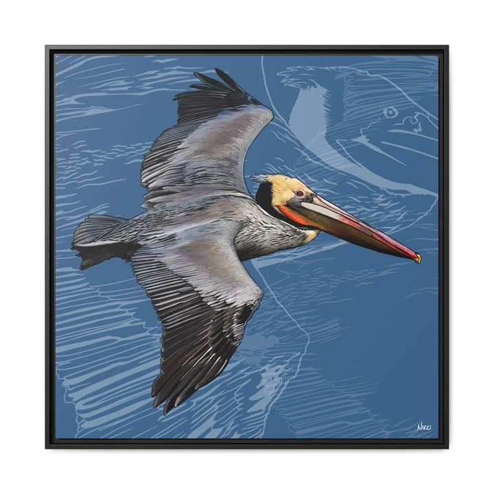 Brown Pelican: Louisiana State Bird  —  Framed Canvas Print