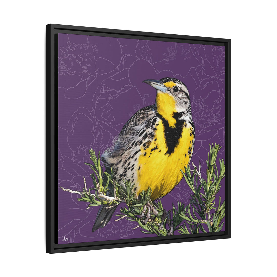 Western Meadowlark: North Dakota State Bird — Framed Canvas Print