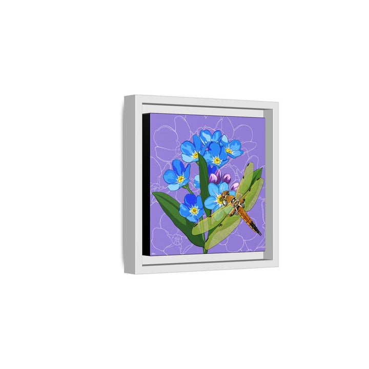 Alaska State Flower + Insect: Forget Me Not + Four-spot Skimmer Dragonfly — Framed Canvas Print Wall Art