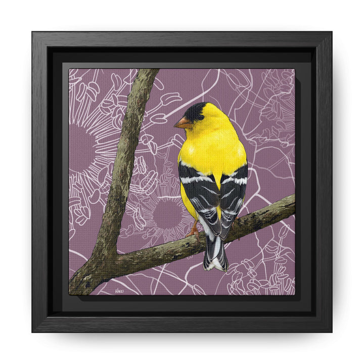 Goldfinch: Washington State Bird — Framed Canvas Print Wall Art