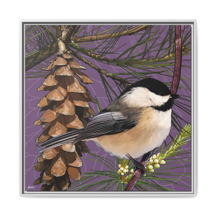 Black-capped Chickadee: Maine State Bird — Framed Canvas Print