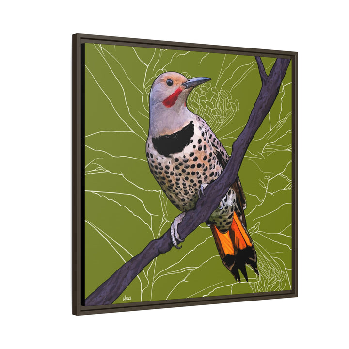 Northern Flicker (Yellowhammer): Alabama State Bird: — Framed Canvas Print Wall Art