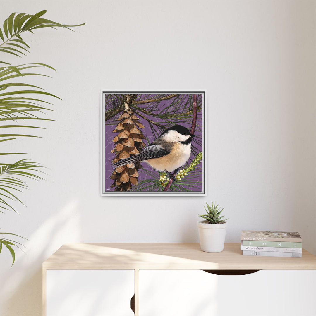 Black-capped Chickadee: Maine State Bird — Framed Canvas Print