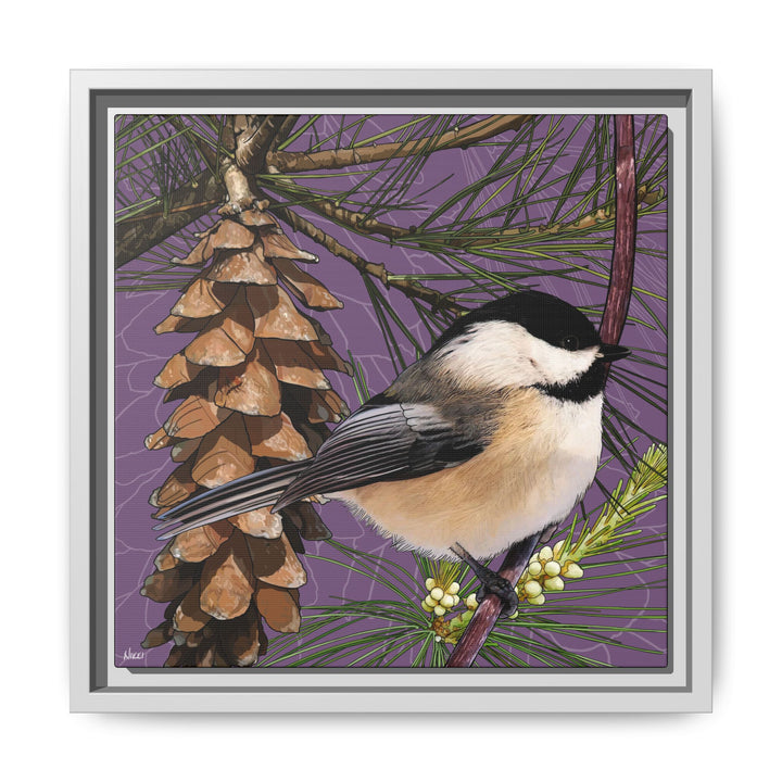 Black-capped Chickadee: Maine State Bird — Framed Canvas Print