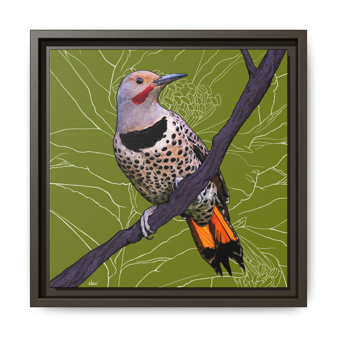 Northern Flicker (Yellowhammer): Alabama State Bird: — Framed Canvas Print Wall Art