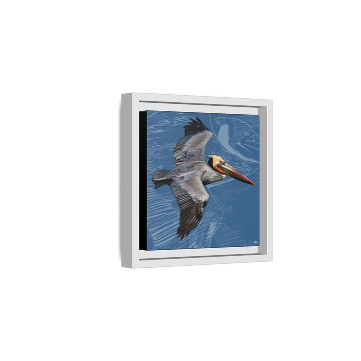 Brown Pelican: Louisiana State Bird  —  Framed Canvas Print